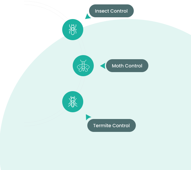 Protect your residential and commercial spaces with our reliable pest control services